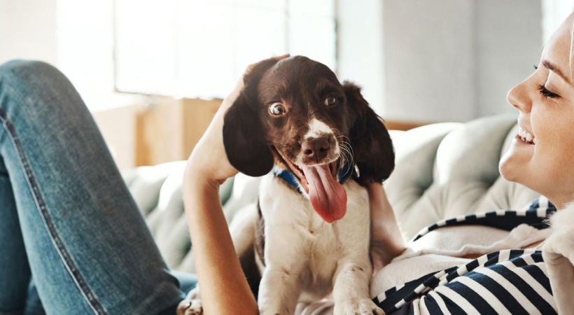 woman lies on a couch and pets her dog